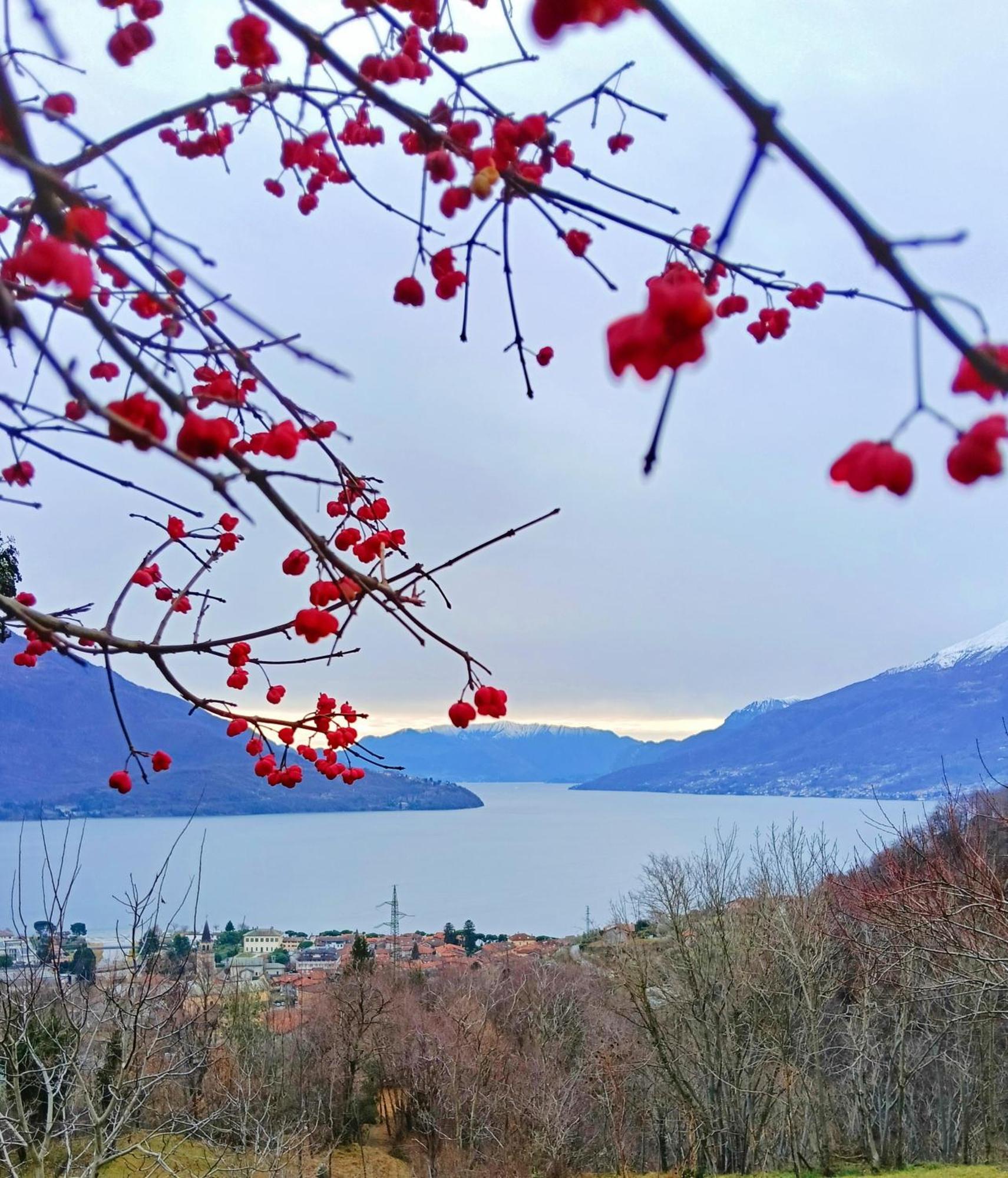 Lake Como Borgo Vignola Cremia Exterior photo